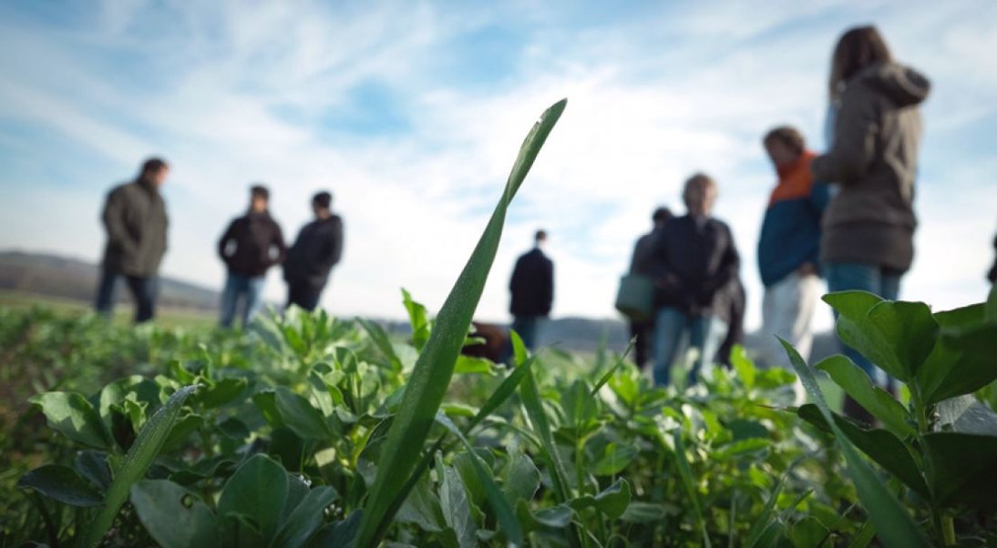 Tout savoir sur l’Initiative nationale pour l’agriculture française (INAF)