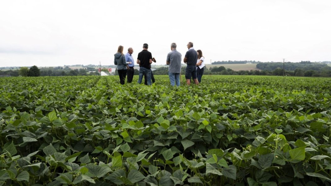 Concours : devenez ingénieur de l’agriculture et de l’environnement