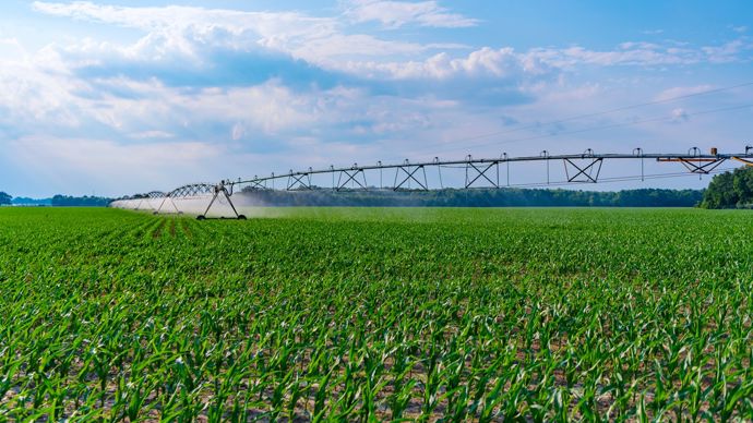 Face à la sécheresse, des agriculteurs du Nord se raccrochent à l’irrigation