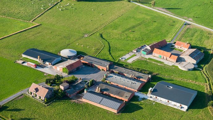 Pac : l’Union européenne promet des flexibilités aux agriculteurs