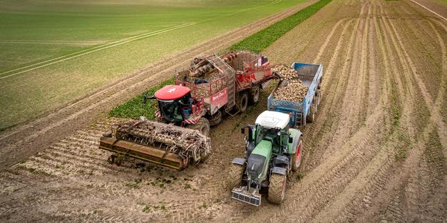 Pesticides néonicotinoïdes : l’Assemblée fait un pas vers un retour sur certaines cultures