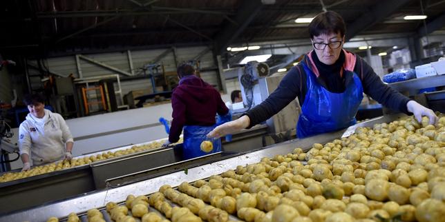 « Prime à la pomme de terre primeur »