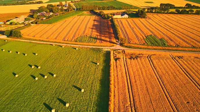 À 6 400 €/ha, le prix des terres progresse en 2024, mais le marché recule