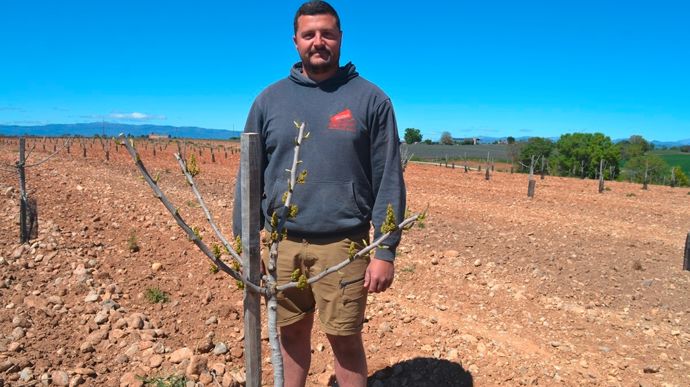 Olivier Gossa, céréalier : « Le pistachier va compléter notre modèle »