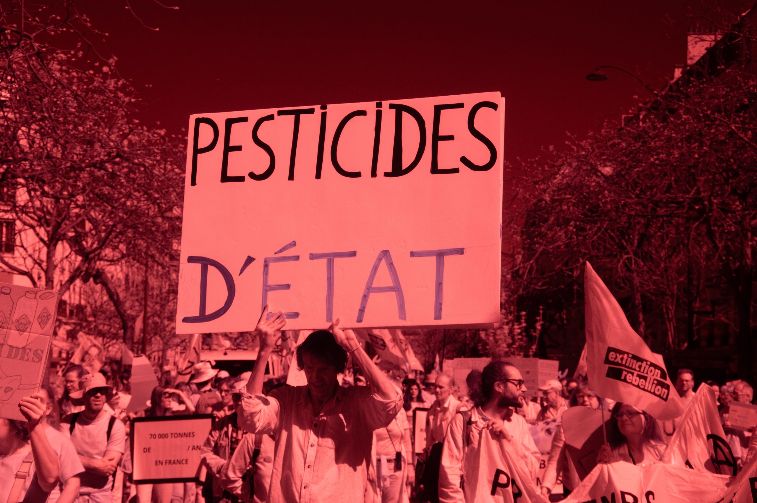 «C’est réautoriser les revolvers tout en interdisant les pistolets» : pourquoi la possible réintroduction d’un néonicotinoïde inquiète les scientifiques