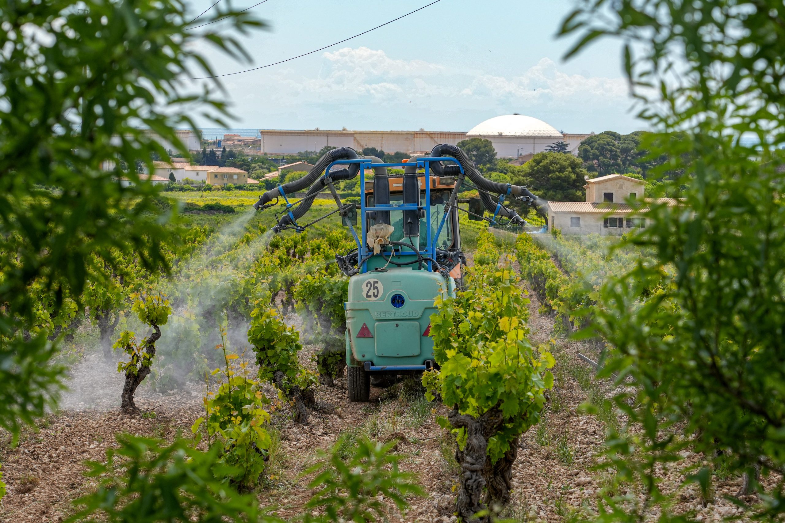 Agriculture : l’Inrae préconise une refonte de l’indicateur utilisé par le gouvernement pour évaluer l’usage de pesticides
