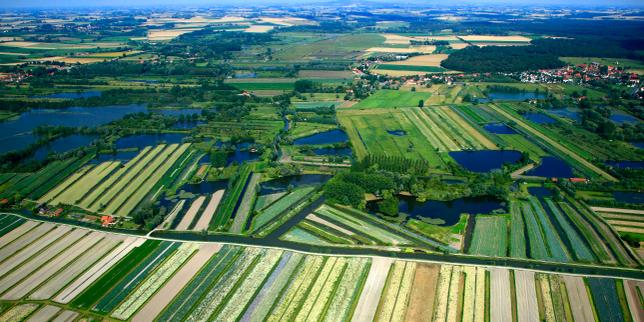 Damien Cariou, agronome : « La souveraineté alimentaire passe par la transition agroécologique, tant le modèle intensif est à bout de souffle »