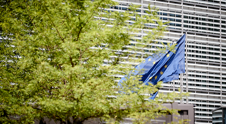 Les indicateurs de risque harmonisés établis au niveau européen