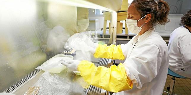 Dans les Côtes-d’Armor, un laboratoire vigie de l’influenza aviaire en France