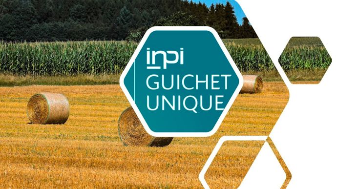 Déclarer la cessation de son entreprise agricole sur le Guichet Unique