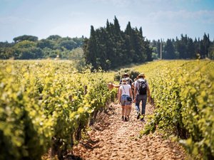 « C’est un bon moment, c’est familial » : la 15e édition des Vignes Toquées séduit son public dans une ambiance gourmande et familiale