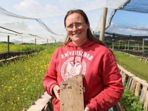 « La moutarde, c’est comme un bonbon pour les escargots » : à Gigean, cette ex-comptable s’est lancée dans l’élevage des petits-gris et gros-gris