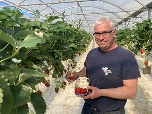 Les agriculteurs des “Serres de Capestang” cherchent le futur repreneur de la partie maraîchage de l’exploitation