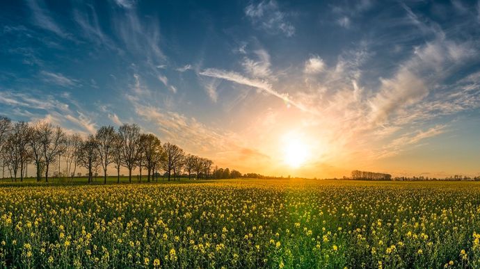 Le manque de pluies touche de nouveau les cultures françaises