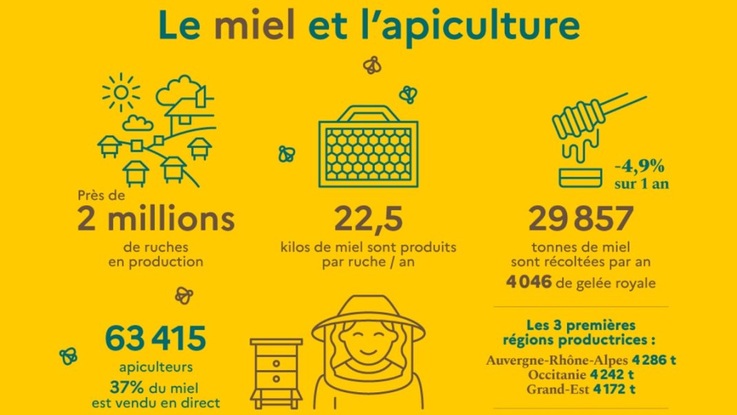 Infographie – Le miel et l’apiculture