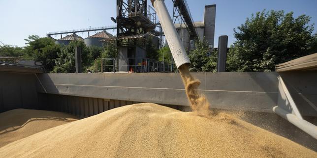 « A ce niveau de prix, les coûts de production de l’orge ne sont pas couverts »