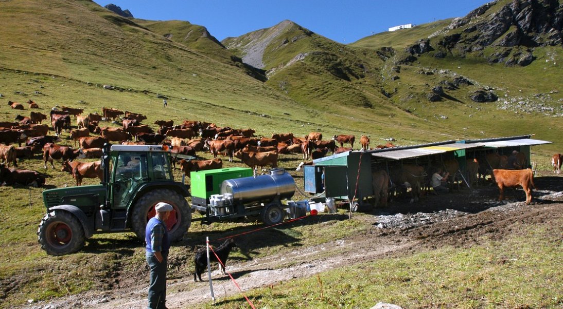 Les aides surfaciques au développement rural