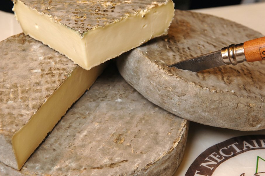 Le Saint-Nectaire AOP, fromage crémeux d’Auvergne