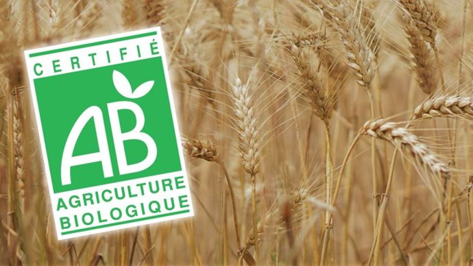 Nouvelle baisse des surfaces bio en 2024, légère reprise de la consommation