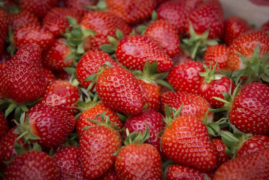 Fortes chaleurs : quels aliments privilégier ?