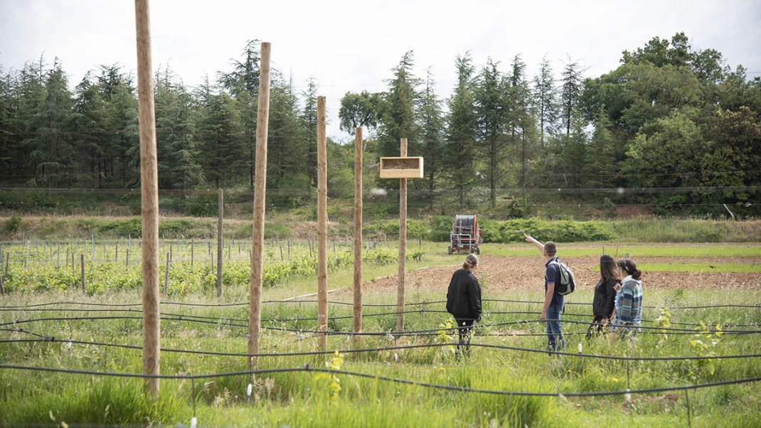 L’enseignement agricole face au défi du changement climatique
