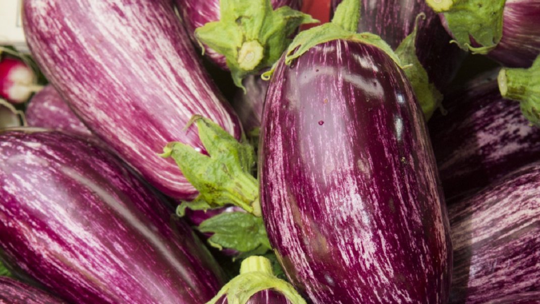 L’aubergine, l’incontournable de la gastronomie méditerranéenne
