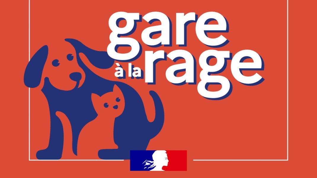 Campagne « Gare à la rage » : le kit de communication