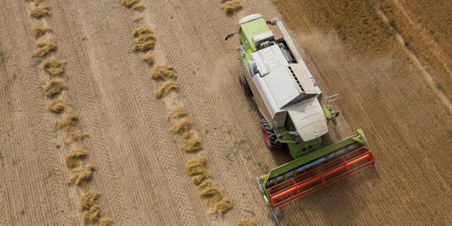 L’alimentation toujours très dépendante des énergies fossiles