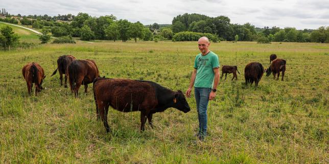 Agriculture biologique : les surfaces cultivées ont reculé en 2024