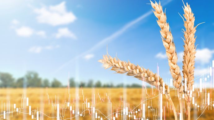 Biocarburants et tempête géopolitique soutiennent les prix du soja et céréales