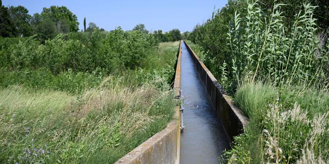 Loi Duplomb : des régies publiques de l’eau alertent sur les risques pour l’environnement et la santé