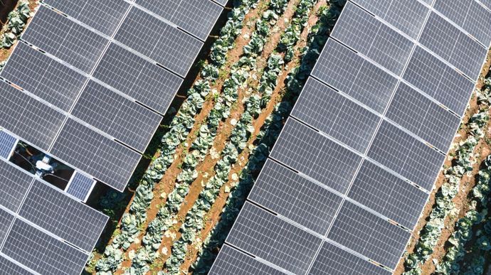 L’agrivoltaïsme, une « opportunité pour augmenter la souveraineté alimentaire »