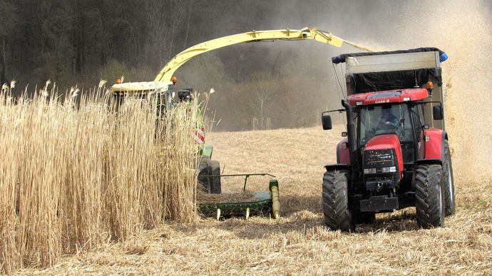 L’interprofession du miscanthus sur les rails pour amplifier les débouchés