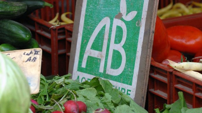 « Les agriculteurs bio ont perdu la moitié de leurs aides environnementales »