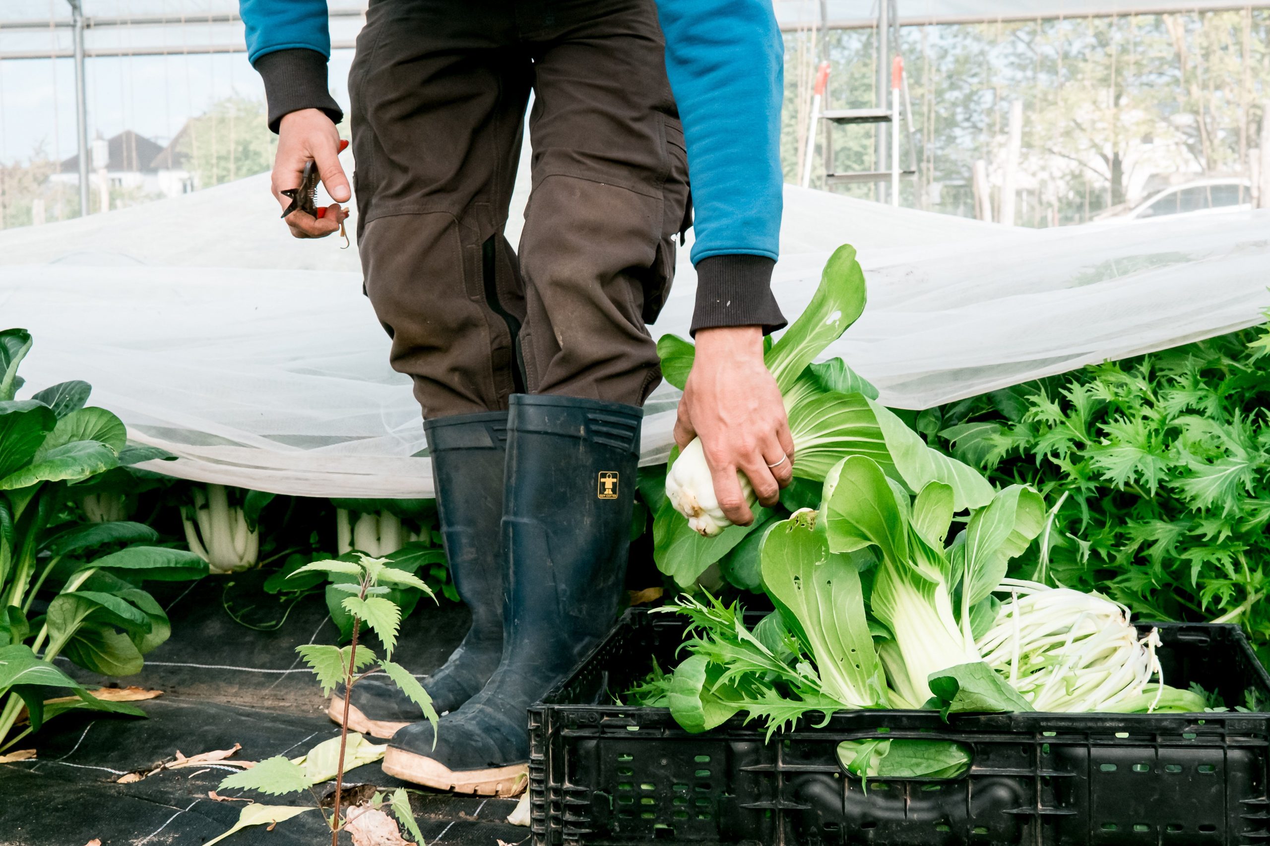 Souveraineté alimentaire : pourquoi la France fait fausse route