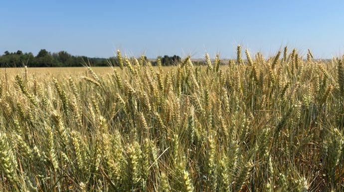 Productions végétales et services, moteurs de l’agriculture française depuis 1980