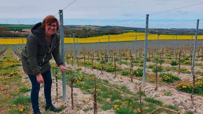 Des vignes entre les terrils : Laurianne Carbonnaux participe à la renaissance du vignoble des Hauts-de-France