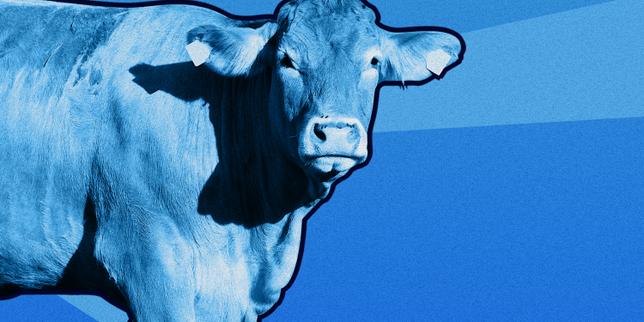 Loi Duplomb : « La préservation de la santé humaine et de l’environnement n’est pas une contrainte »