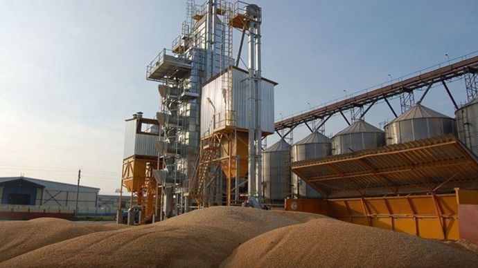 Les stocks de blé américains et mondiaux révisés à la baisse