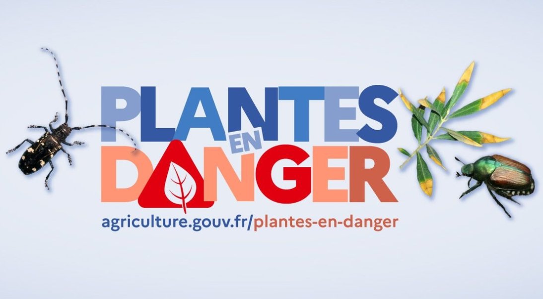 Plantes en danger : tous concernés