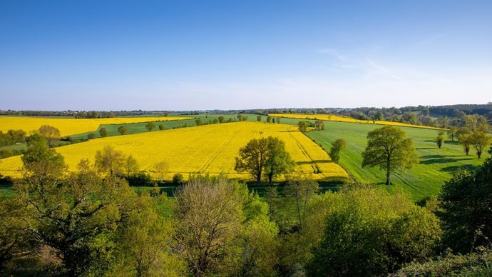 Un printemps et un mois de mai particulièrement doux