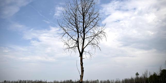 « Le gouvernement affaiblit méthodiquement les agences environnementales et sanitaires »