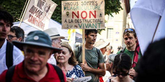 Loi Duplomb : députés et sénateurs s’entendent sur un compromis qui prévoit la réintroduction de l’acétamipride, un pesticide interdit dans l’agriculture depuis 2018