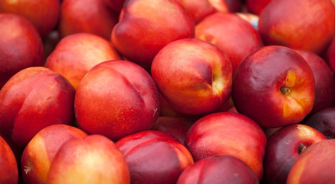 C’est de saison : la pêche-nectarine