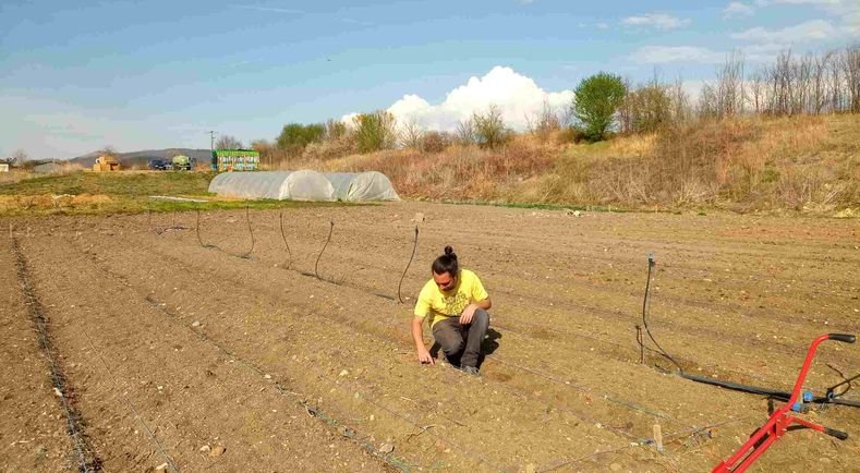 Tout savoir sur les projets alimentaires territoriaux (PAT)