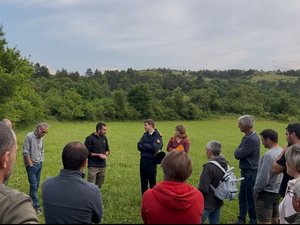 La Coordination rurale monte au créneau sur le sujet de la prédation par le loup