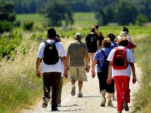 Œnotourisme (3/3) : « L’Occitanie est la deuxième région œnotouristique française »… Les institutions au soutien de la filière