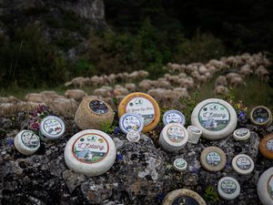 Salon des agricultures méditerranéennes à Villeveyrac : la Coopérative fromagère des Bergers du Larzac, un savoir-faire made in Sud Aveyron