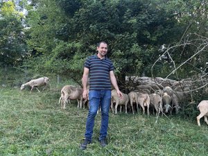 « On a la boule au ventre en permanence » : à cause du loup, un agriculteur du Pompidou décide de vendre son troupeau de brebis