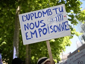 Loi Duplomb : pourquoi cette loi, examinée ce lundi en commission mixte paritaire, est-elle jugée « dangereuse » par ses opposants ?